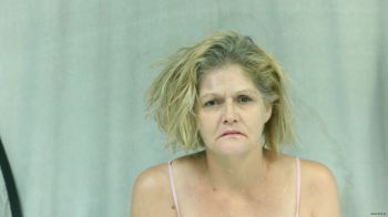 Lori Ann Collins Mugshot