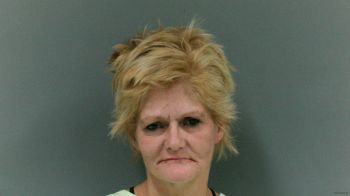 Lori Ann Collins Mugshot