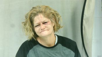 Lori Ann Collins Mugshot