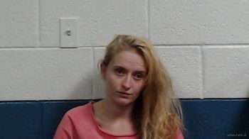 Lyndsey Nicole Breesawitz Mugshot