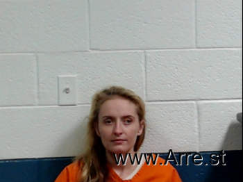 Lyndsey Nicole Breesawitz Mugshot