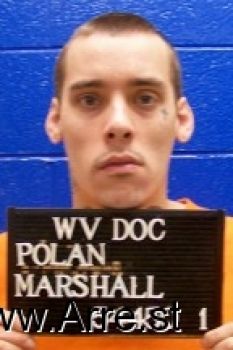 Marshall L Polan Mugshot