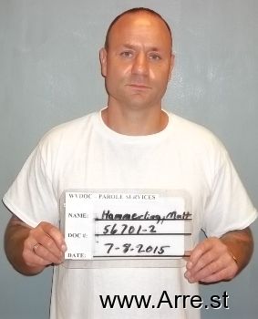 Matthew F Hammerling Mugshot