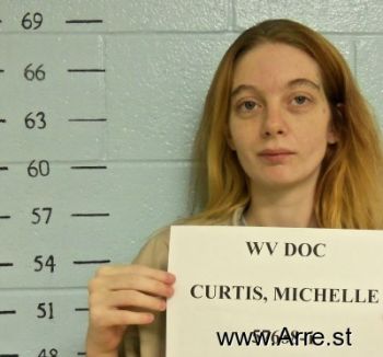 Michelle L Curtis Mugshot