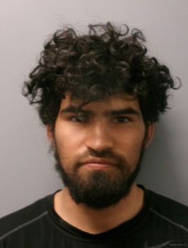 Marlon Brandon Gonzalez Mugshot