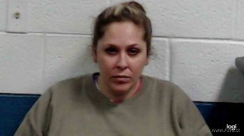 Mary Anne Clevenger Mugshot