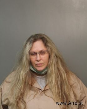 Mary Anne Clevenger Mugshot