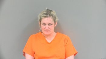 Mary Louann Gilmore Mugshot