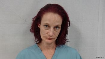 Mary Jo Sears Mugshot