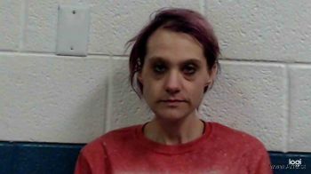 Mary Lynn Wolfe Mugshot