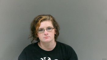 Megan Christina Bowman Mugshot