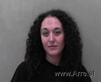 Megan Yvonne Ellifritz Mugshot