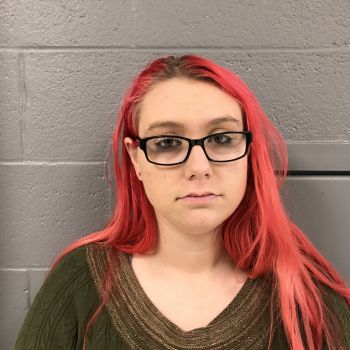 Megan Michelle Hanna Mugshot