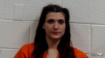 Megan Elizabeth Helton Mugshot