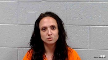 Megan Nicole Howard Mugshot