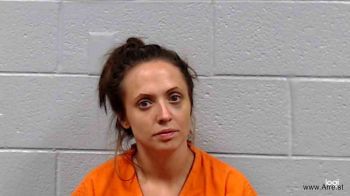 Megan Nicole Howard Mugshot