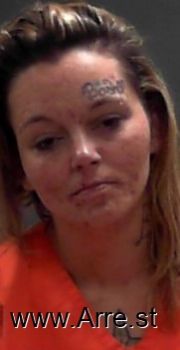 Megan Dawn Reed Mugshot