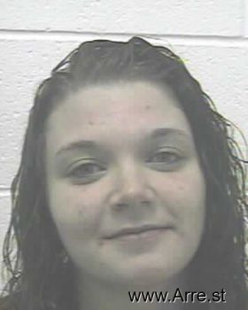 Megan Elizabeth Bibbee Mugshot