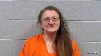 Melinda Sue Mcmillion Mugshot