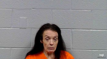 Melissa Ann Cook Mugshot