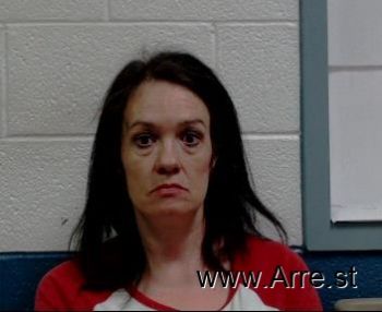 Melissa Ann Cook Mugshot