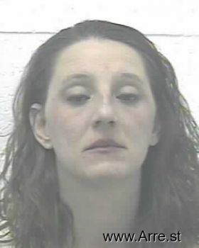 Melissa Dawn Cook Mugshot