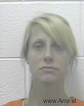 Melissa Kay Farrington Mugshot