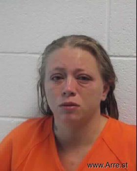 Melissa Ann Hall Mugshot