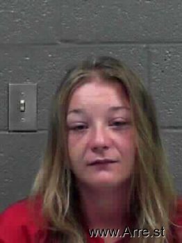 Melissa Ann Williams Mugshot