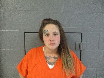 Mercedes Lynn Lewis Mugshot