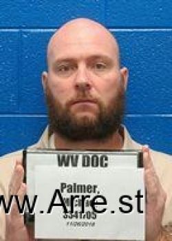 Michael Wayne Palmer Mugshot