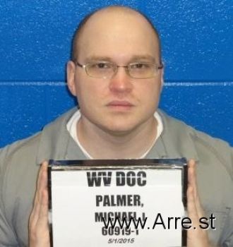 Michael Ian Palmer Mugshot