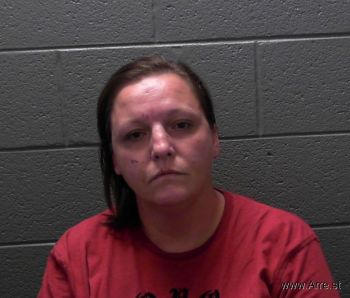 Michelle Lee Bryant Mugshot