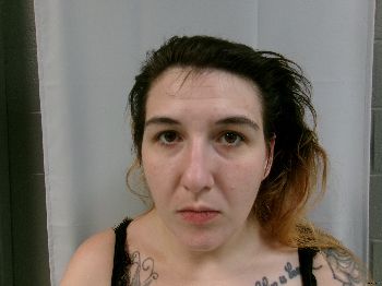 Michelle Lea Hawkins Mugshot