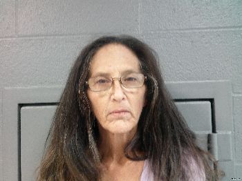 Michelle Lynn Mayle Mugshot