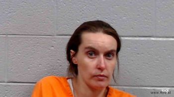 Michelle Ann Neff Mugshot