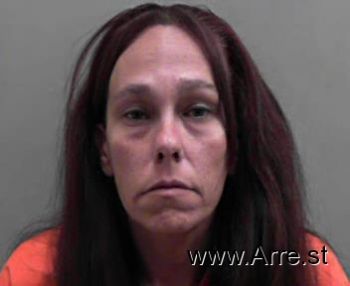 Michelle Lee Palmer Mugshot