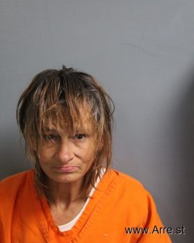 Michelle Lou Pauley Mugshot