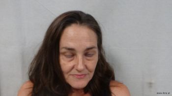 Michelle Dawn Shafer Mugshot