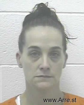 Michelle Lynn Ball Mugshot