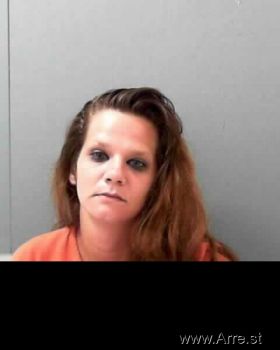 Michelle Ann Mills Mugshot