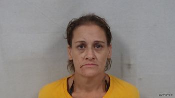 Misty Dawn Bryan Mugshot