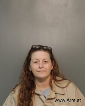 Misty Dawn Evans Mugshot