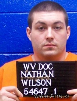 Nathan F Wilson Mugshot