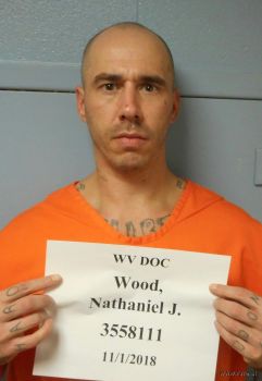 Nathaniel James Wood Mugshot