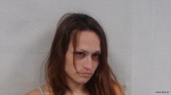 Nerissa Lynn Johnson Mugshot