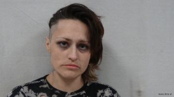 Nerissa Lynn Johnson Mugshot