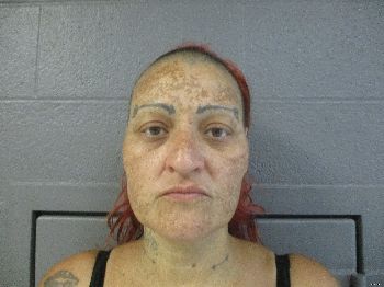 Nicole Ross Brannon Mugshot