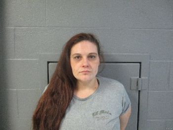 Nicole Marie Heavner Mugshot