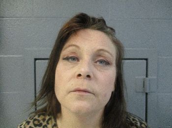 Niki Lynn Wilson Mugshot